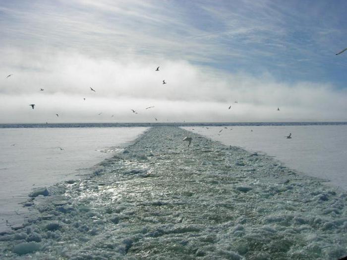 Foto dello stretto di Vilkitsky