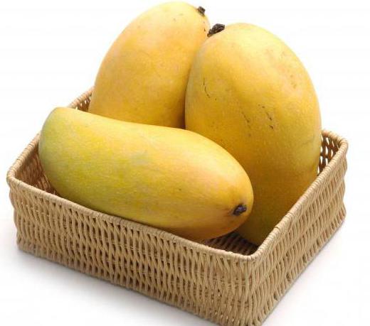mango, kde země roste