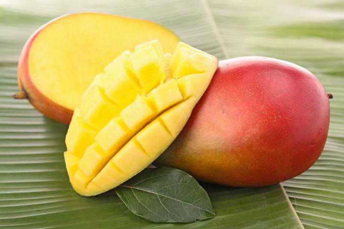 kde roste mango ovoce