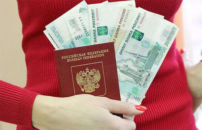 kolik je státní povinnost na cestovní pas