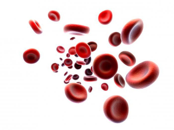 katera krvna skupina je primerna za vsakogar