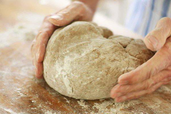 iz katere se izdeluje najbolj zdravega kruha
