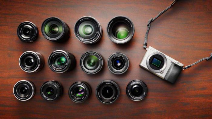 Što profesionalne kamere je bolje kupiti