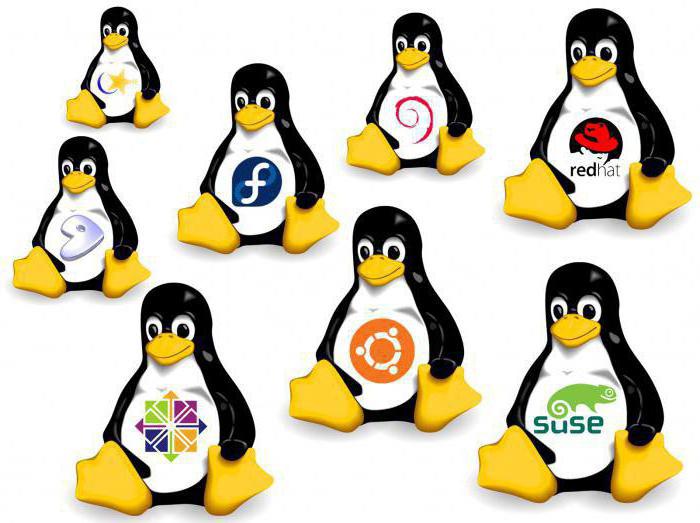 Linux distribucija