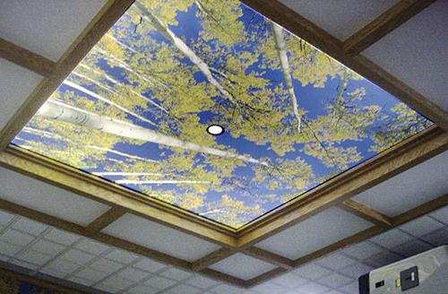 zavěšené stropy matné nebo lesklé