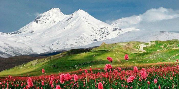 Gdzie jest Elbrus aktywny lub wymarły