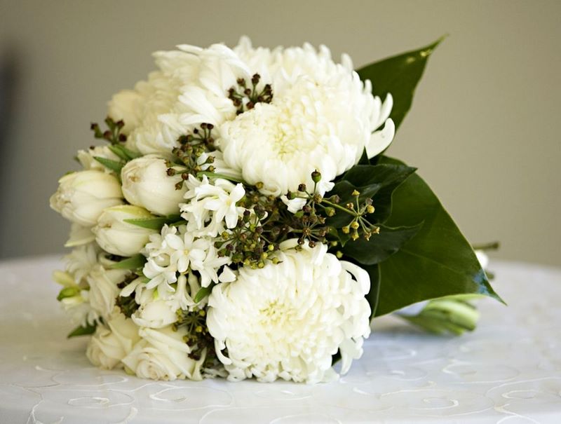Какво означава бялата хризантема на езика на цветята?