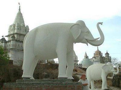elefante bianco