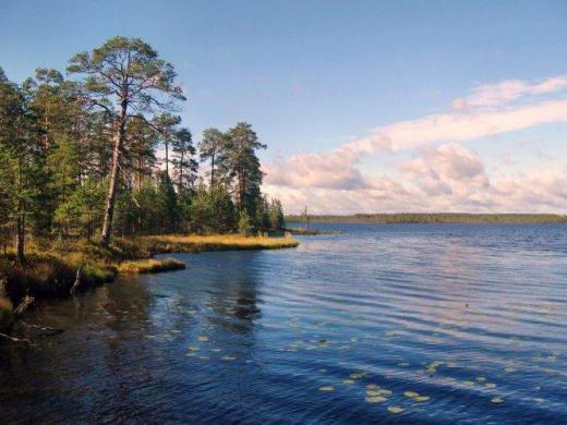 одмор на белом језеру Вологда
