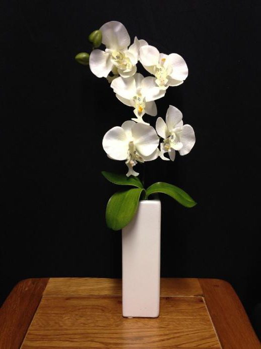 бели орхидеи