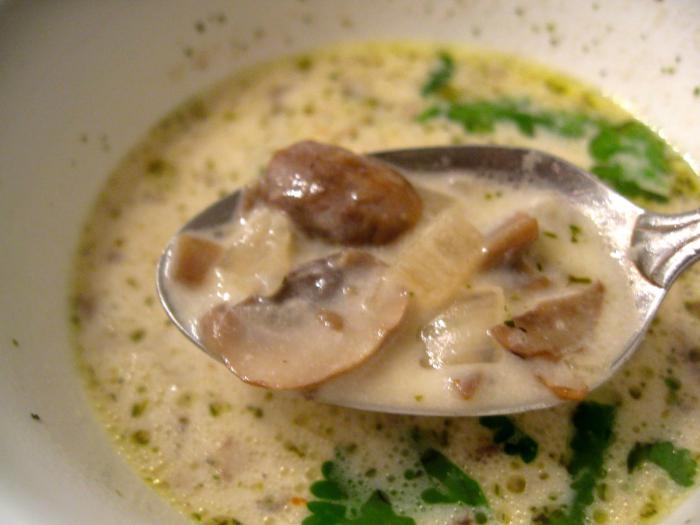 zupa z białych grzybów świeżych
