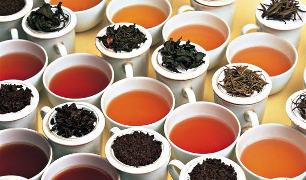 Korzyści i szkodliwość białej herbaty