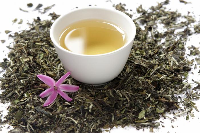 Užitné vlastnosti bílého čaje
