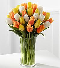 kytice bílých tulipánů