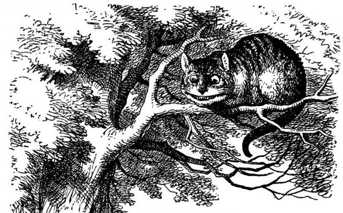 Cheshire mačka
