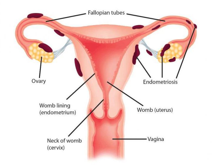 након менструације извлачи доњи део абдомена