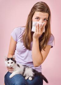 Leczenie alergii na kota