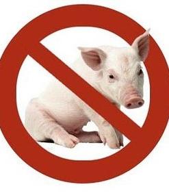 zakaj ne moremo jesti svinjskih muslimanov