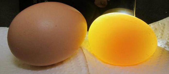 proč kuřata kladou vejce bez skořápky