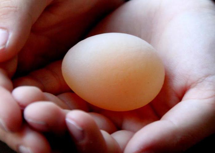 kuřata nesou vejce bez shell, co mají dělat