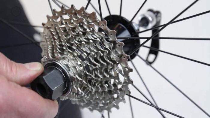 biciklističke disk kočnice škripe što učiniti