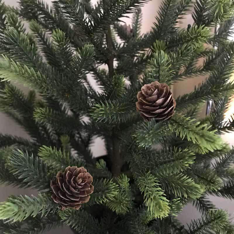Božićno drvce u snu