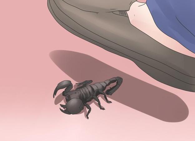 czarny skorpion we śnie