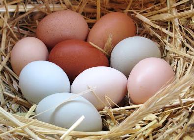 dlaczego marzyć o surowych jajach