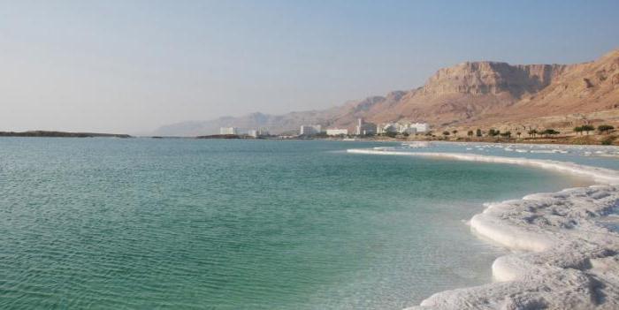 защо мъртвото море е така наречено