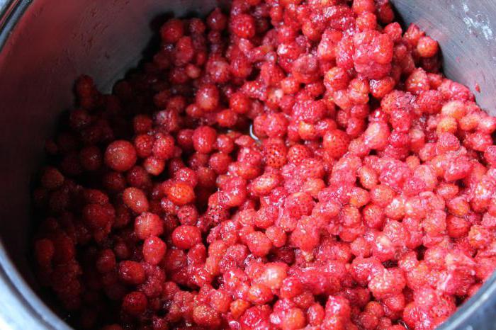 полезните свойства на дивата ягода