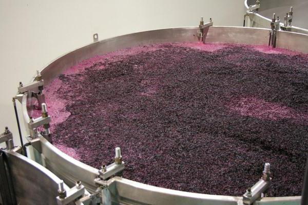 technologie výroby vína