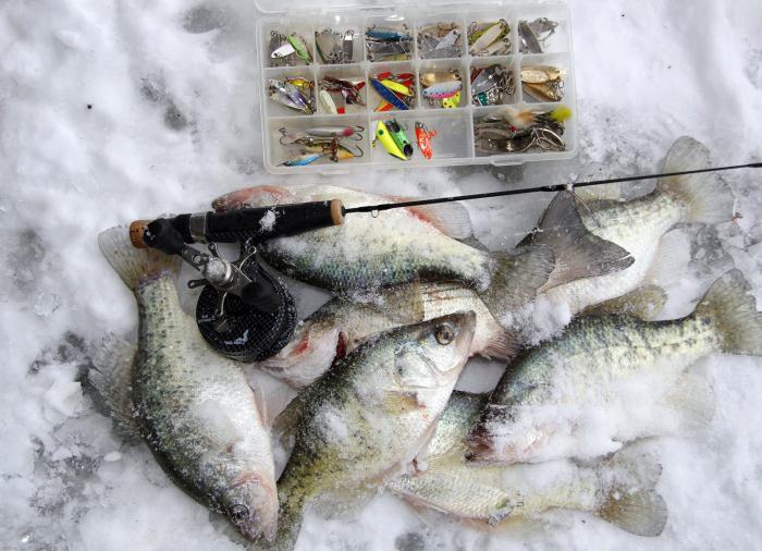 Зимска штап за риболов