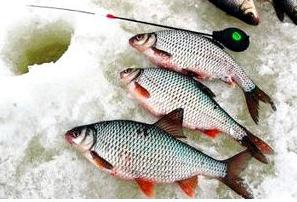 Zařízení zimní rybářské tyče na roachu