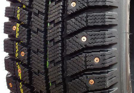 Zimní pneumatiky Nord master Amtel recenze