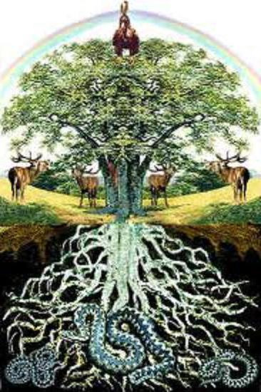 světový strom