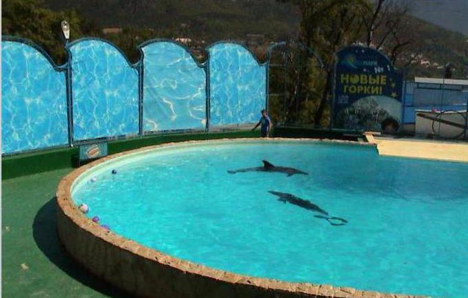 Delfinárium v ​​cenách v Jaltě