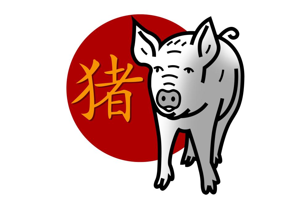 Anno del maiale nell'oroscopo cinese