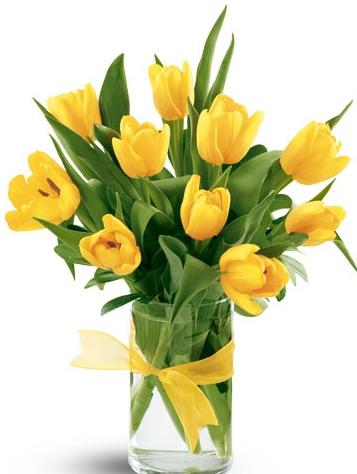 znaczenie żółte tulipany
