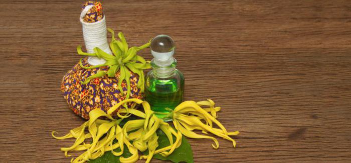 esenciální olej ylang ylang pro hodnocení vlasů