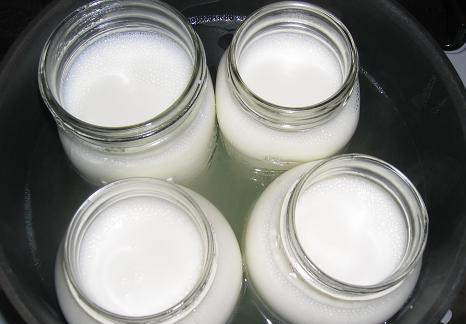 przepis na jogurt w multicookerowym polarisie