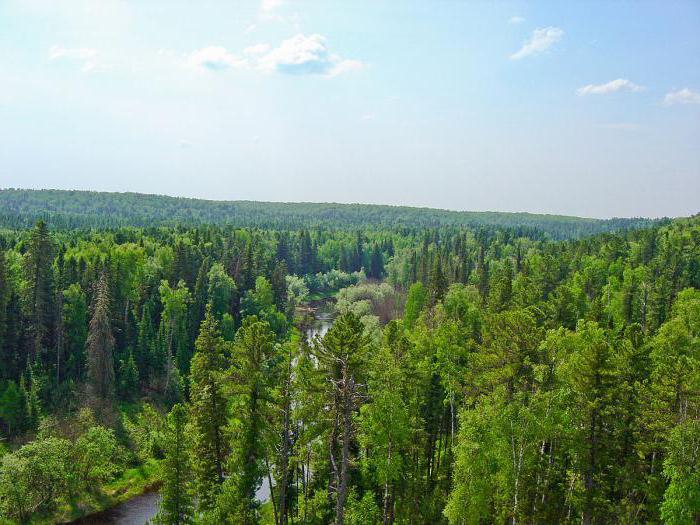 Yugansky Reserve