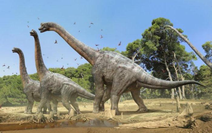 duży dinozaur roślinożerny z długą szyją