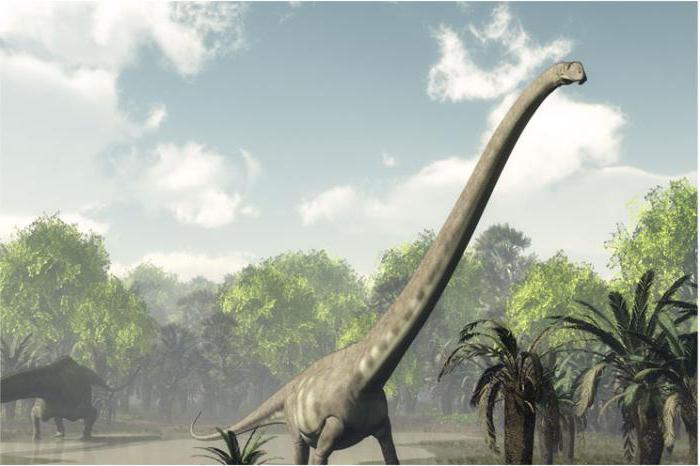 голям тревопасен динозавър с дълъг врат