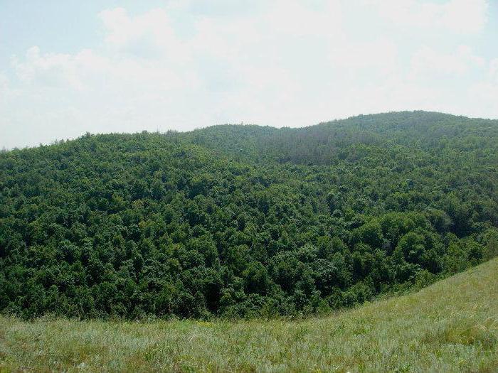 Държавен природен резерват Жигули