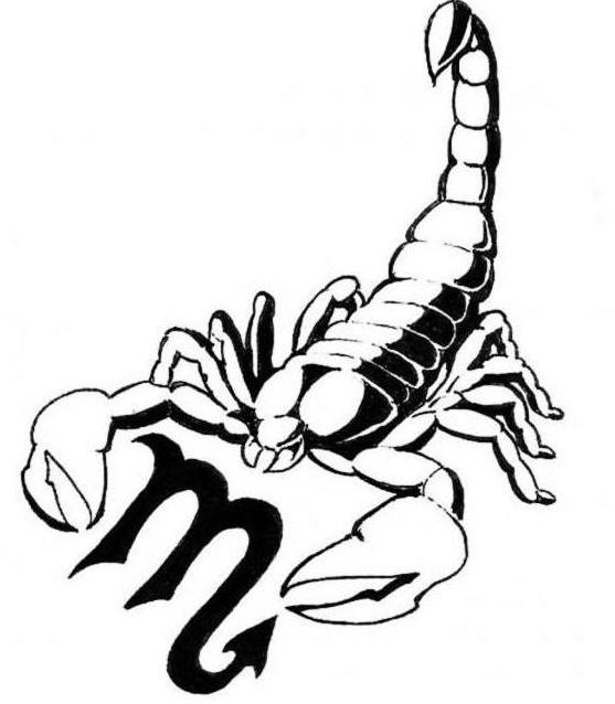 scorpion element