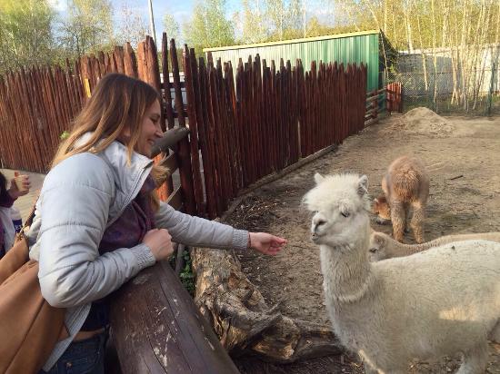 Animali allo zoo di Nizhny Novgorod